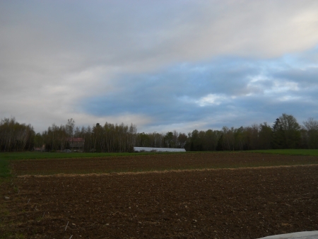 Reclaiming Ripley Farm – Ripley Farm