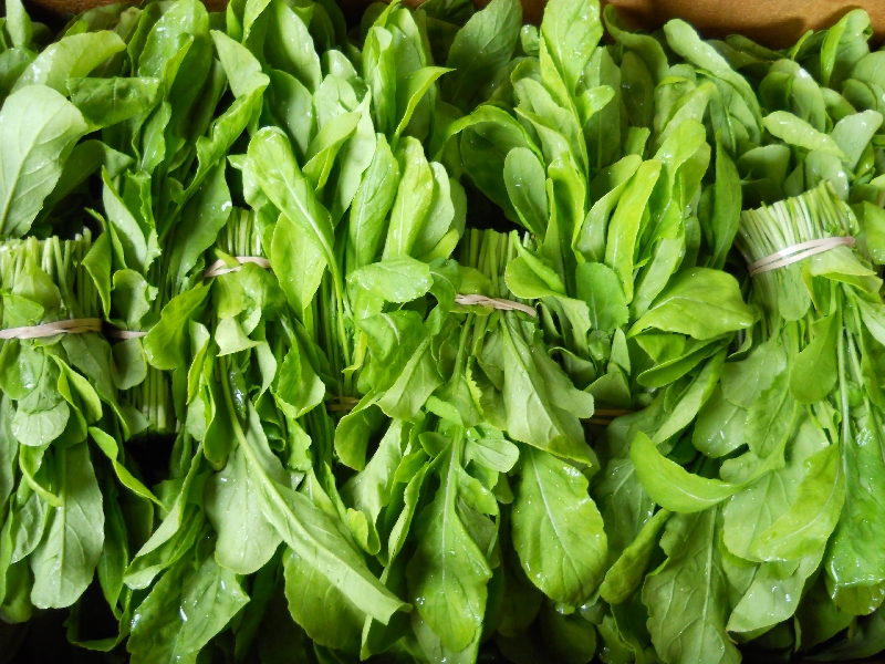 Arugula