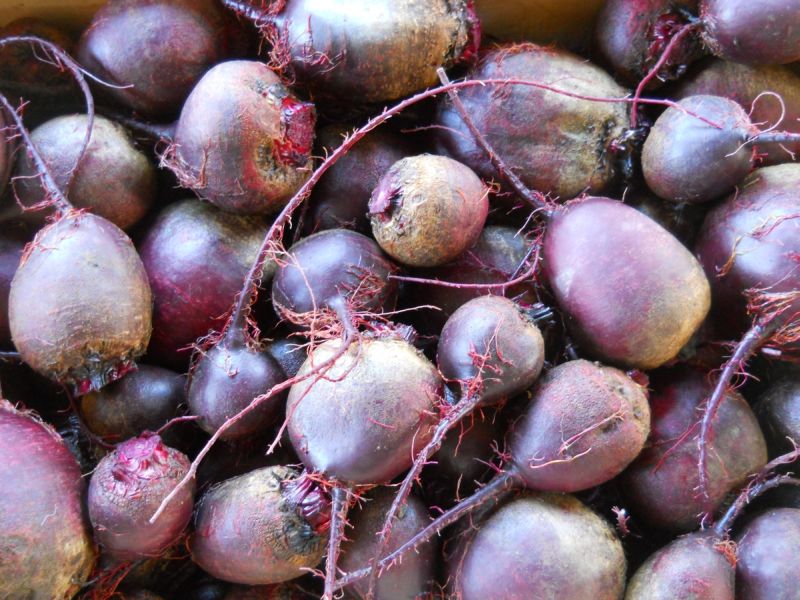 Beets – baby (avg. 1.25″ diameter)