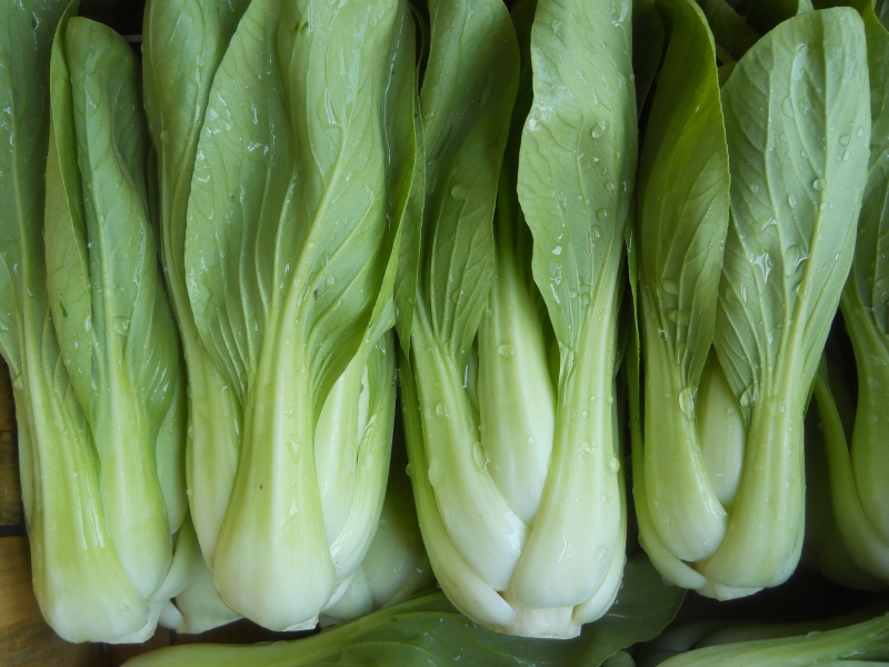 Pac Choi