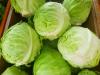 Cabbage – green