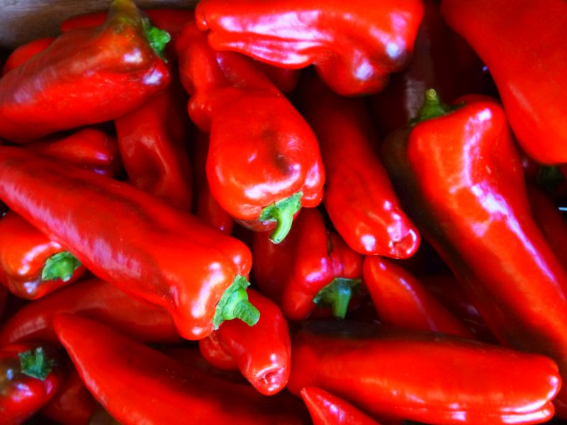 Peppers – red Italian frying