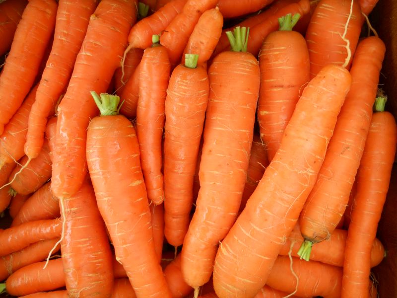 Carrots – orange