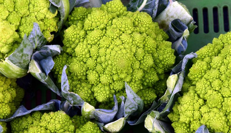 Cauliflower – romanesco