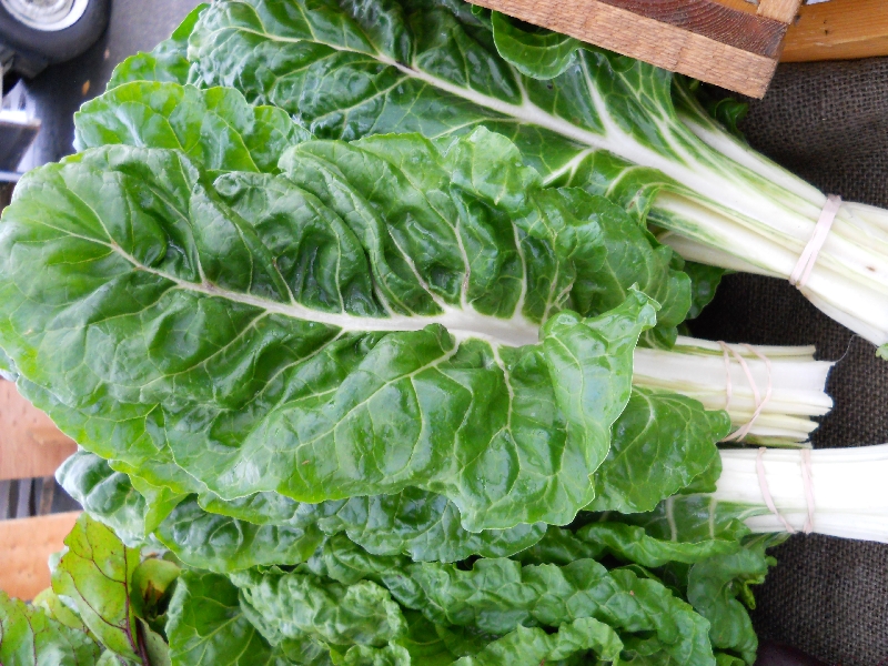 Swiss Chard
