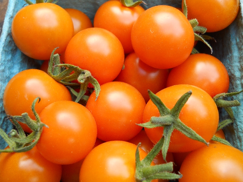 Tomatoes Cherry