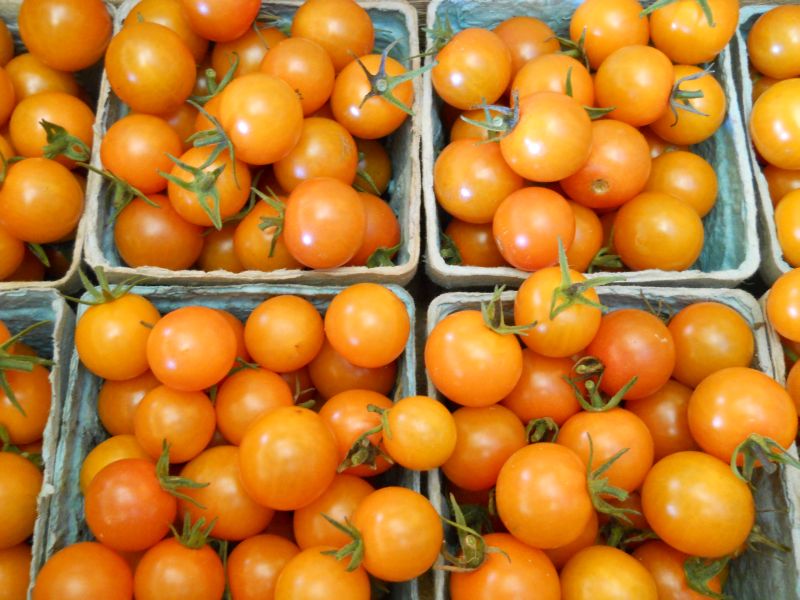 Tomatoes – orange cherry