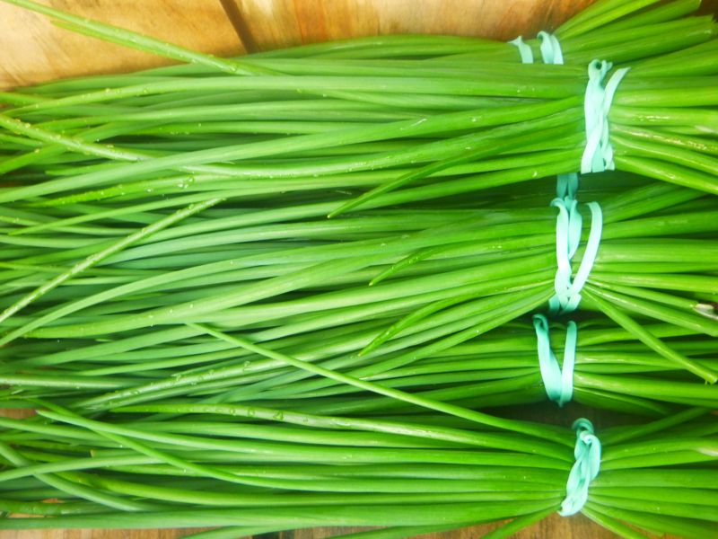 Chives