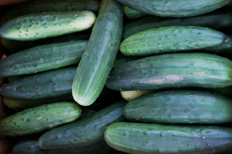Cucumbers