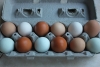Eggs, organically fed and raised