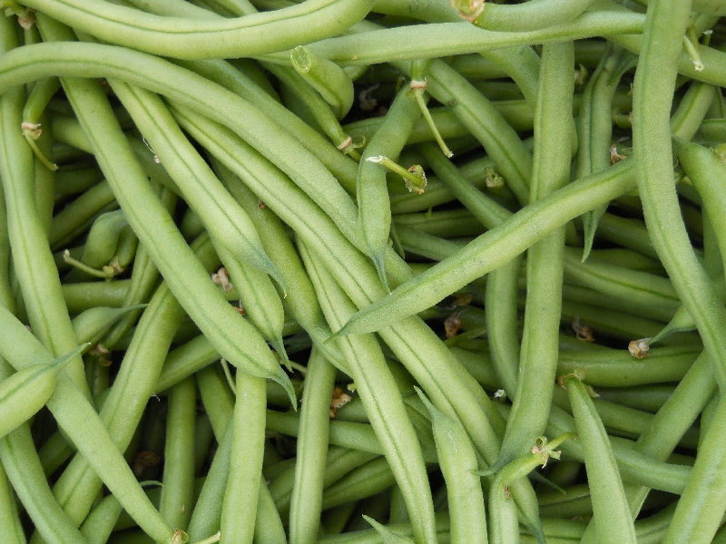 Green Beans