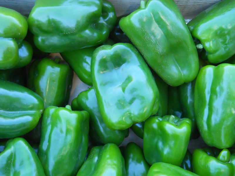 Peppers – green bell