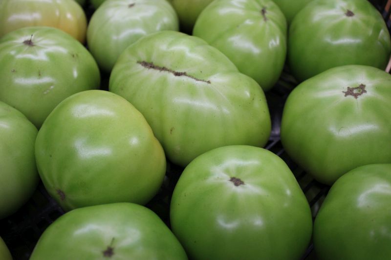 Tomatoes Green