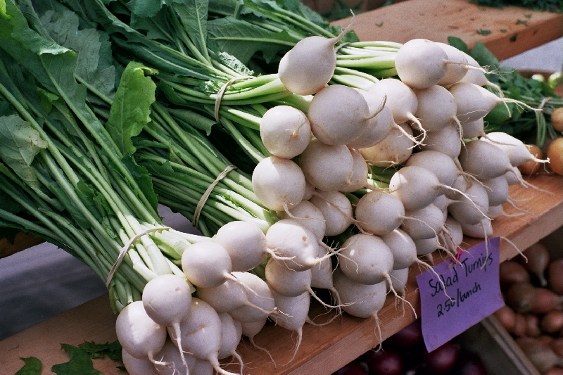 Salad Turnips