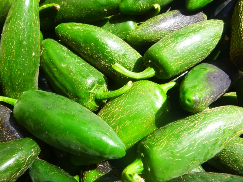 Peppers – jalapeno