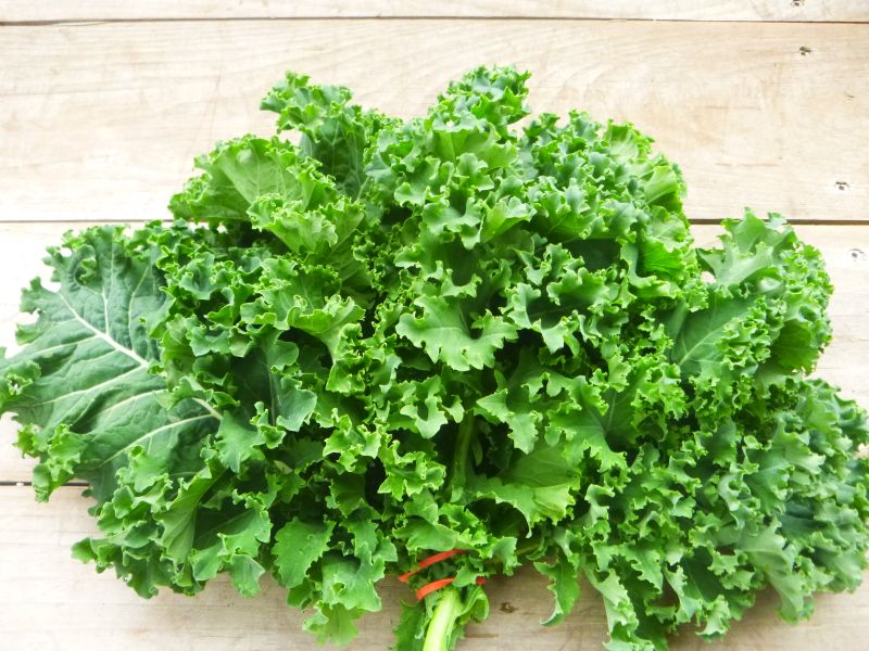 Kale – Green Curly