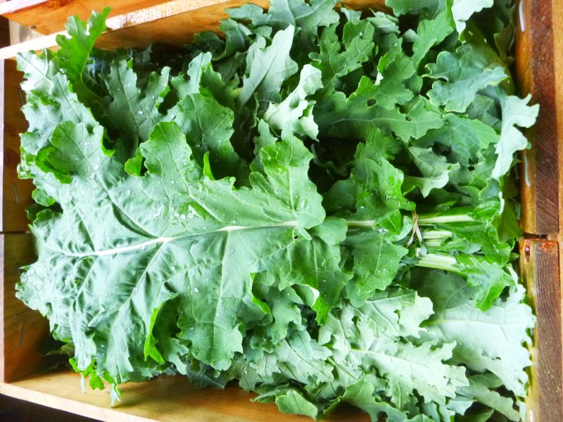 Kale