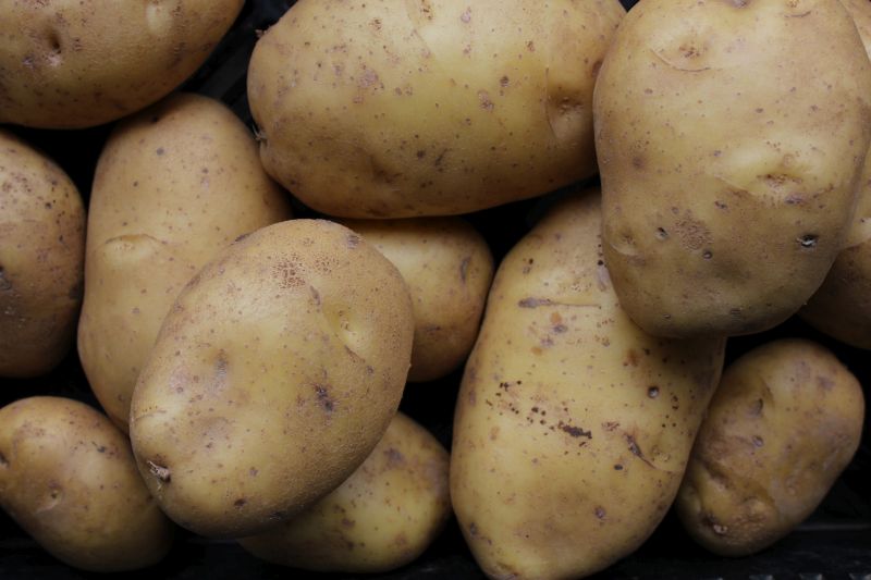 Potatoes – Kennebec (white flesh)