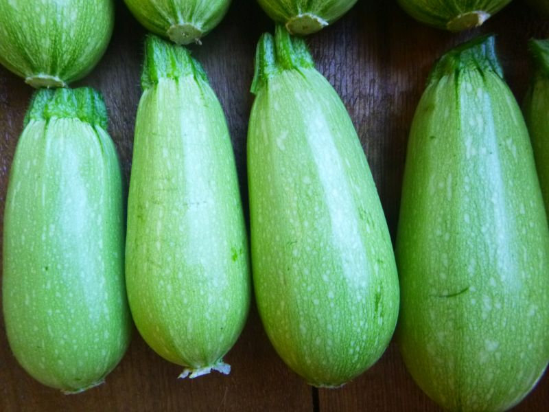 Zucchini – Lebanese