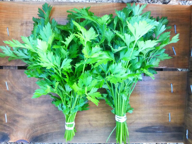 Parsley
