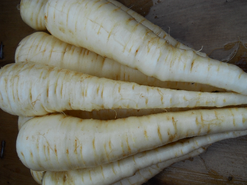 Parsnips