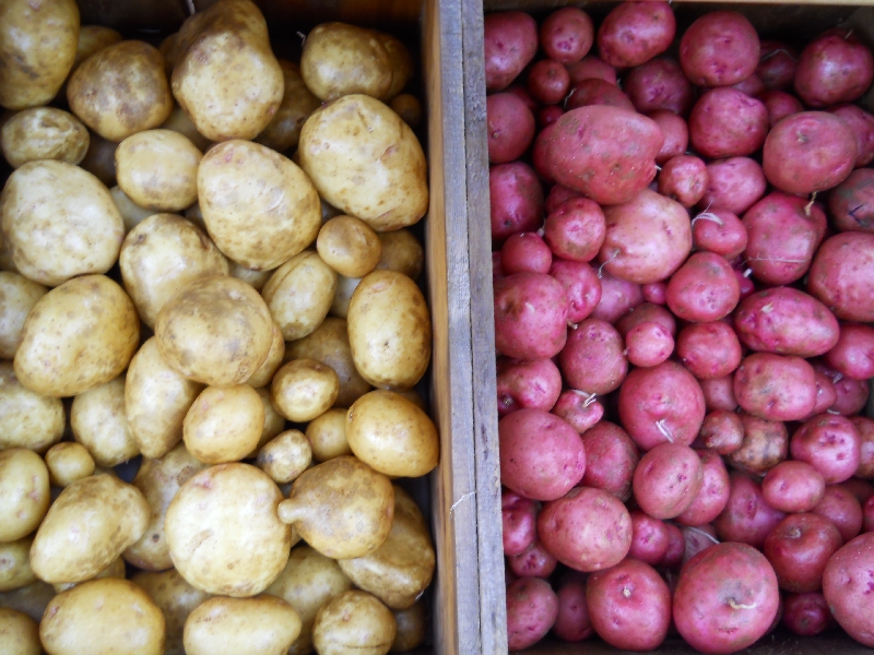 Potatoes
