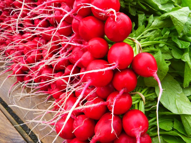 Radishes