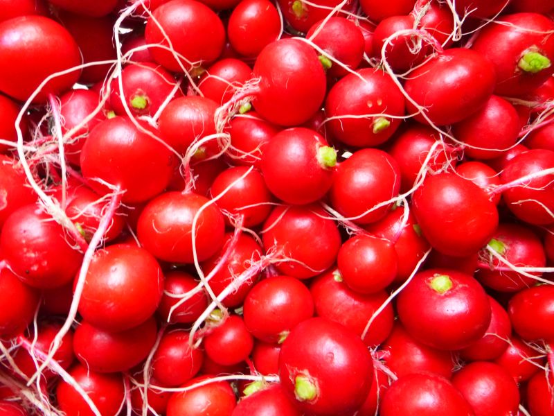 Radishes – no tops