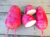 Daikon Radish – red