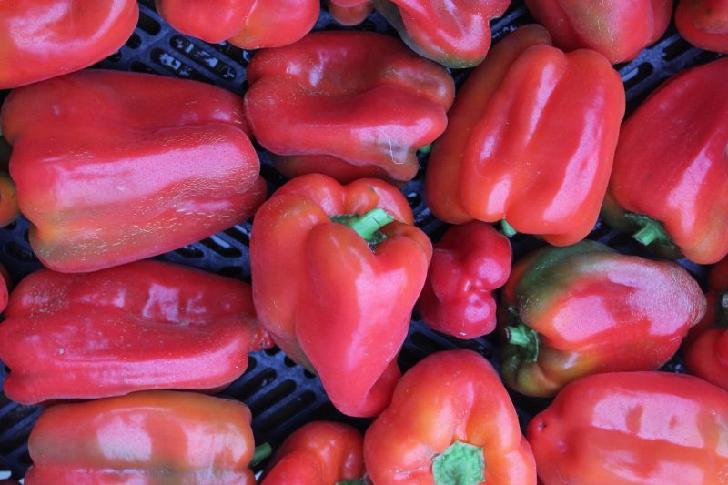 Peppers – red