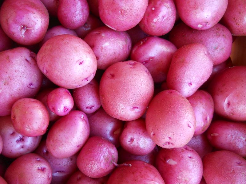 Potatoes – Red
