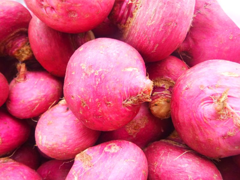 Turnips – red