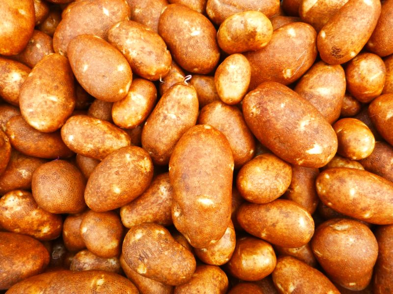 Potatoes – Russet