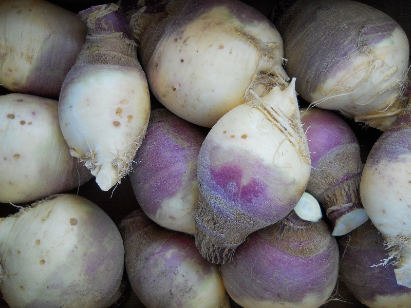 Rutabaga