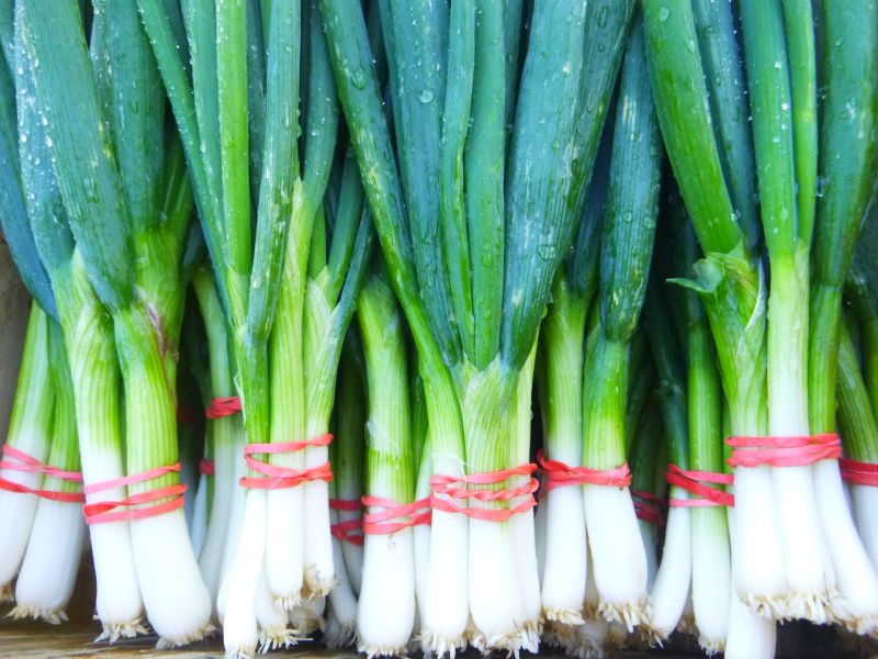 Scallions