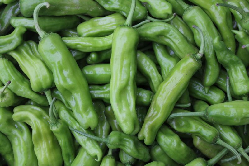 Shishito Peppers