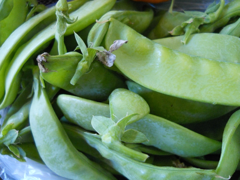 Peas snow