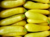 Summer Squash – Yellow Straightneck