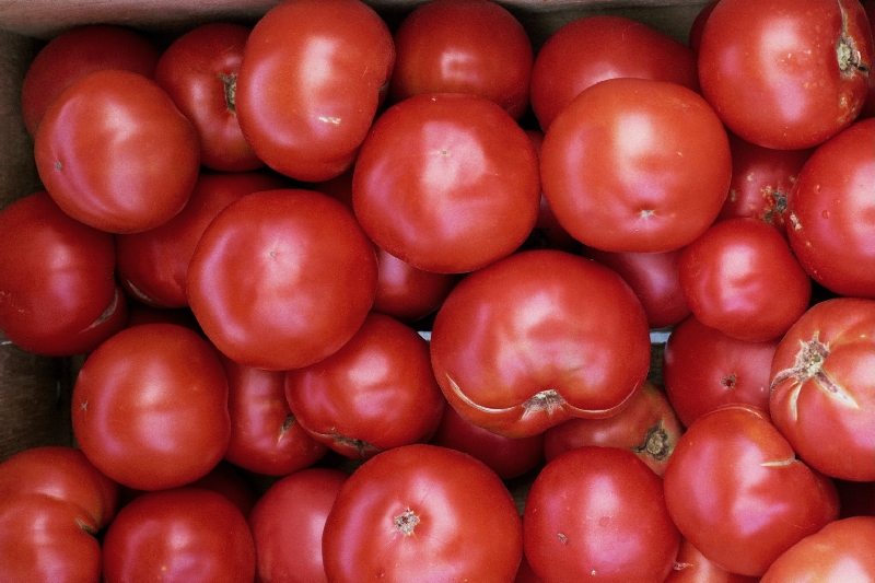 Tomatoes