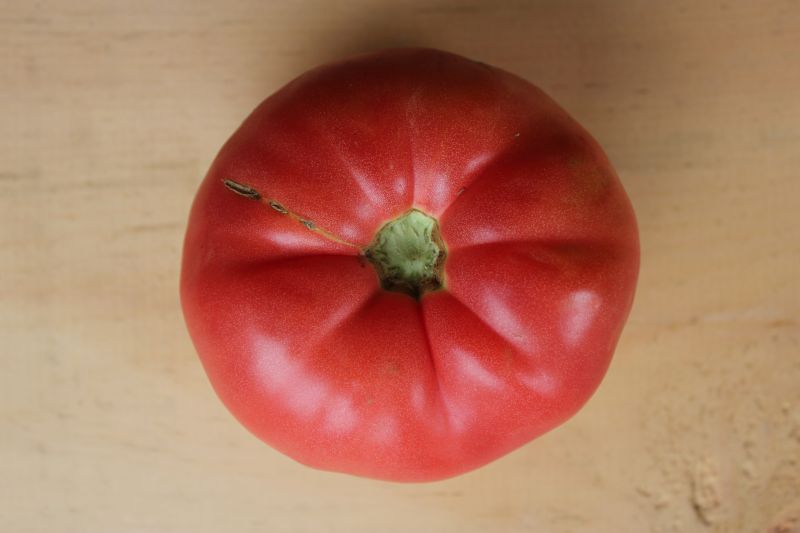 Tomatoes – heirloom ‘Prudens Purple’