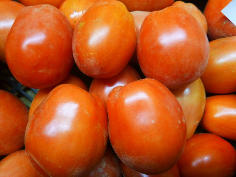 Tomatoes – paste