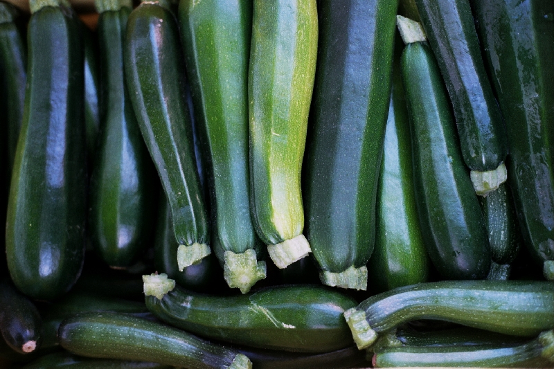 Zucchini
