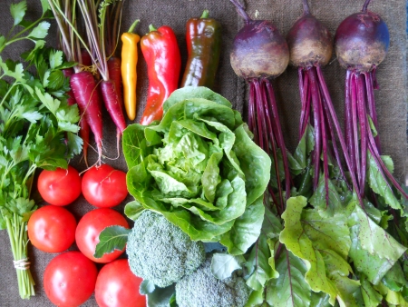2013 Summer CSA in review