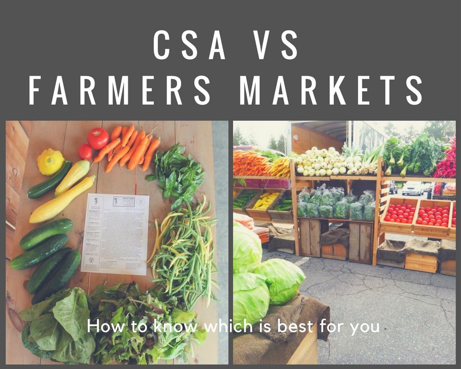 CSA vs Farmers Market: How to know which is best for you