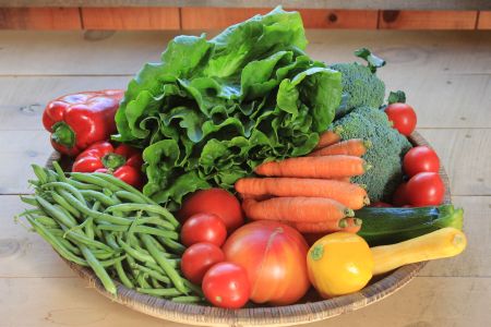 Celebrating the Meaning of CSA!