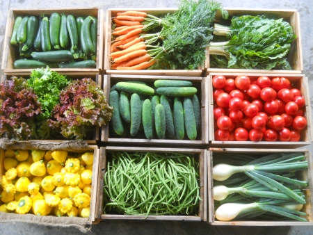 CSA: Sharing the experience of eating in the here and now