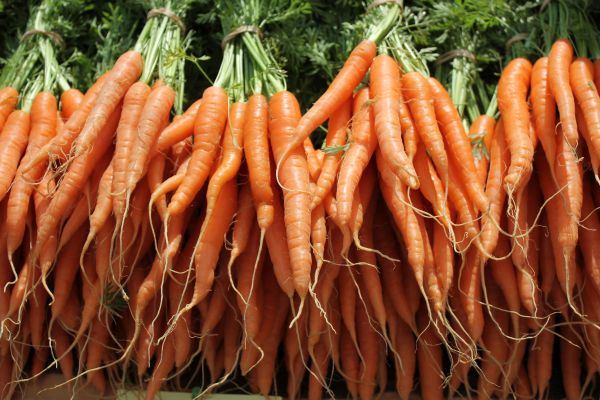 10 Delicious Ways To Enjoy The Best Tasting Carrots