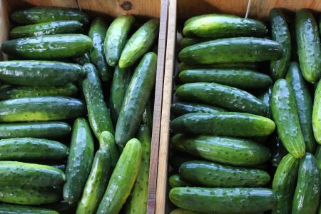 The Best Way To Use Up Extra Cucumbers Is Not What You Think