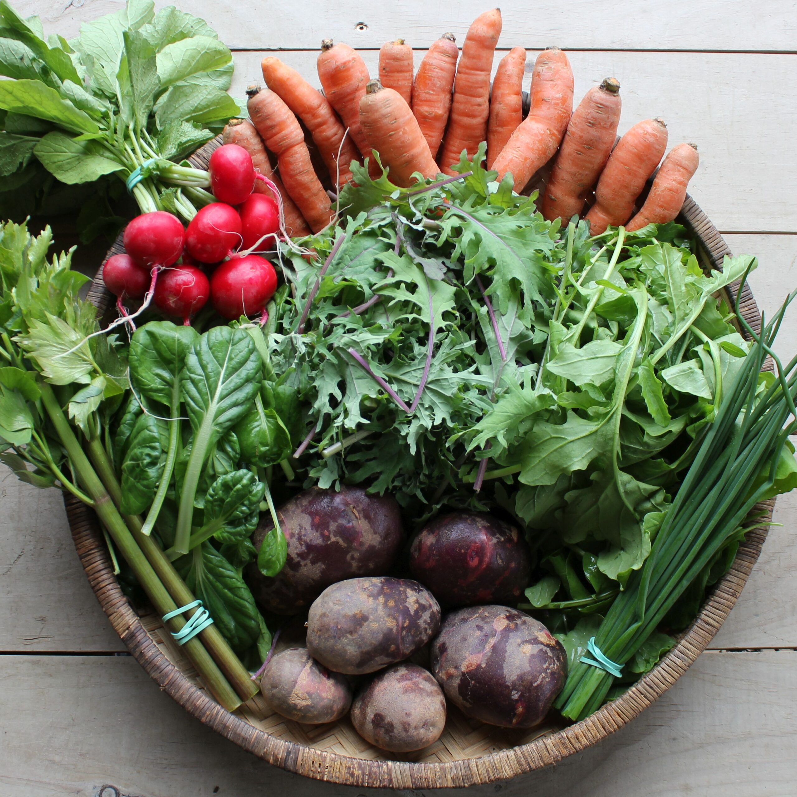 What is in the Spring CSA?