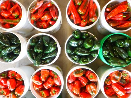 Why Peppers Are One of The Best Veggies to Freeze